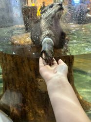 -Zoolung Zoolung动物主题公园(海信广场店)