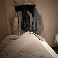 点击看大图 -玛莲朵·海菲秀冰珀科