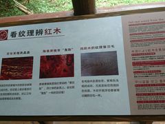 -南宁良凤江国家森林公园