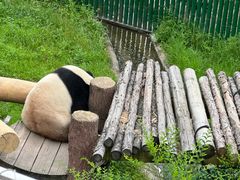 -沈阳森林动物园