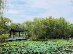 -武汉园博园(武汉自然博物馆)