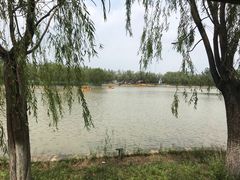-杨柳青庄园