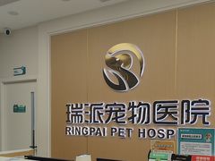 -瑞派康怡24h宠物医院·犬猫医疗中心·微创绝育(瑞景分院)