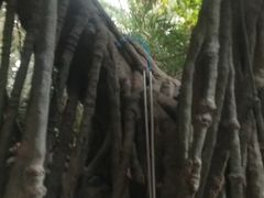 -龙达温泉生态城