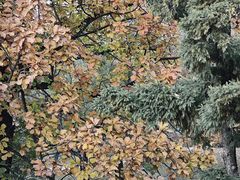 -国家植物园南园