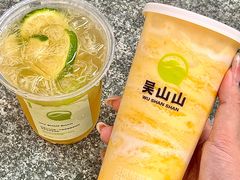 -吴山山·椰子酸奶(天河南店)