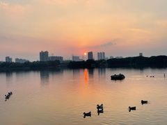 -海珠湖公园