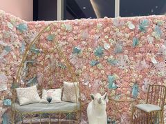 -Dazzling Cafe 蜜糖吐司专卖店