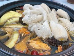 -蘑统田下·野生菌火锅