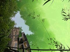-三峡人家风景区