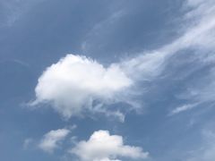 -四明山国家森林公园