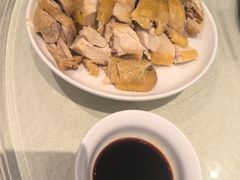 白切本鸡-群乐饭店(滨安路店)