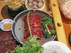 -手选潮汕鲜活牛肉火锅(二七广场店)