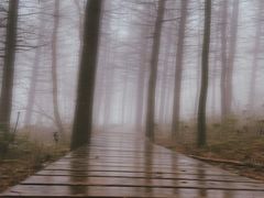 -白草畔自然风景区