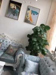 -久匠·纹眉半永久野生眉