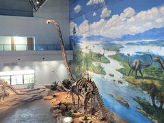 -自贡恐龙博物馆