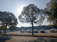 -胜华驾校·小猫学车(银都店)