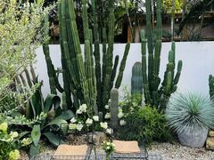 -自由生长植物工作室(深港花卉中心店)