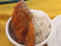 -鸿达渔港