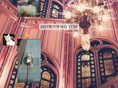 -泰洋动物医院·神经专科·磁共振·CT(天河公园总院)