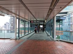 -香港大学