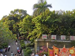 -仙岳公园
