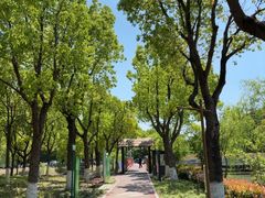 -柳鹭田园区