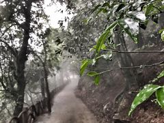 -南岳衡山风景名胜区