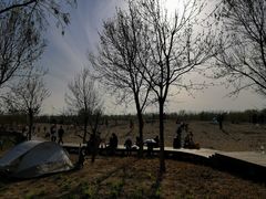 -东郊湿地公园