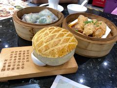 -新兴·金羊座·粤菜点心(乐峰店)