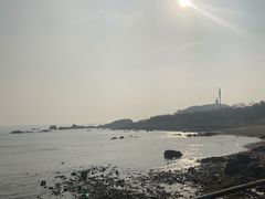 -齐海鱼圣深海石斑鱼火锅店(极地海洋世界店)