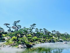 -罗红摄影艺术馆