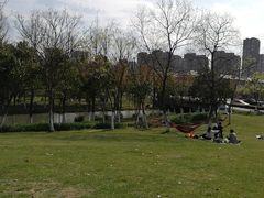 -花溪公园