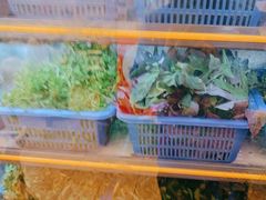 -老味道1992(武当山店)