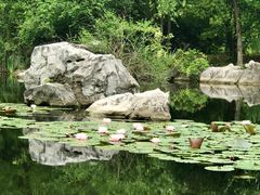 -吴淞炮台湾湿地森林公园烧烤区