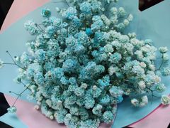 -循礼门鲜花花市(武汉循礼门店)