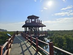 -北海金海湾红树林生态旅游区