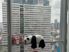-马泷齿科·成都锦江置略马泷口腔门诊部(IFS国金中心店)