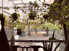 -稍可轩博物馆餐厅