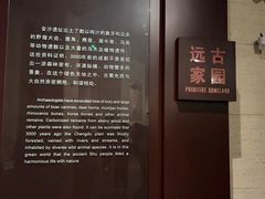 -金沙遗址博物馆