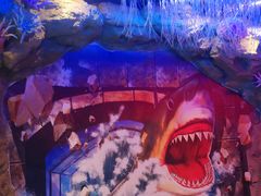 -海合安成都极地海洋公园
