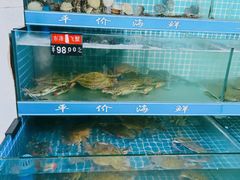 水产区-渔家乐小海鲜(皇姑店)