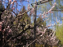 -元大都城垣遗址公园