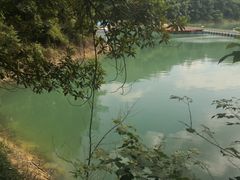 -广州市流溪河国家森林公园