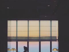 大堂-解放碑威斯汀酒店-知味国际美食餐厅