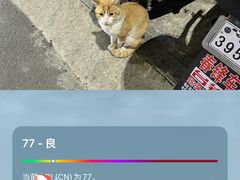 -清湖文化公园