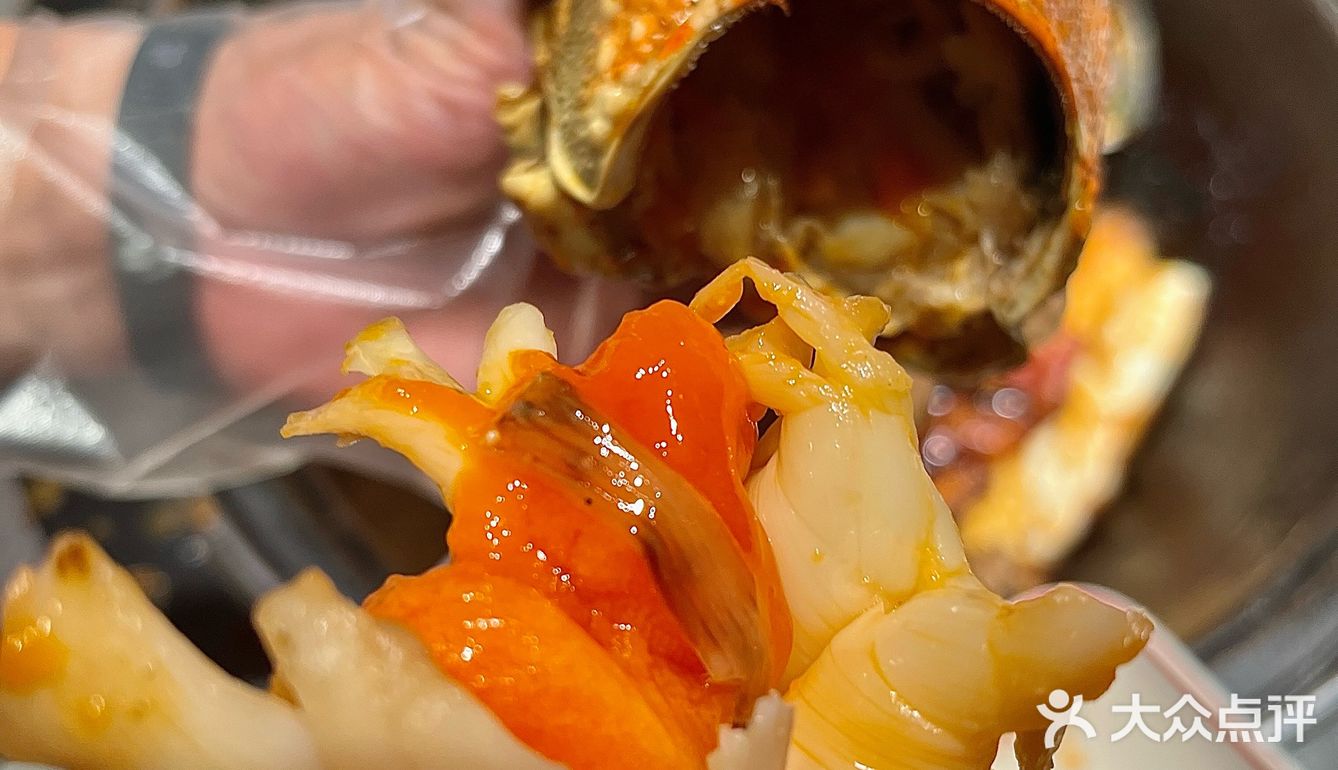 来大连！铁锅炖里还有大龙虾…真没白来🤤