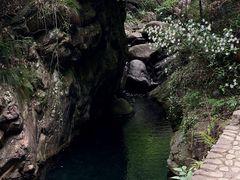 -大奇山国家森林公园