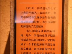 -上海崧泽遗址博物馆