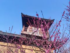-习家池